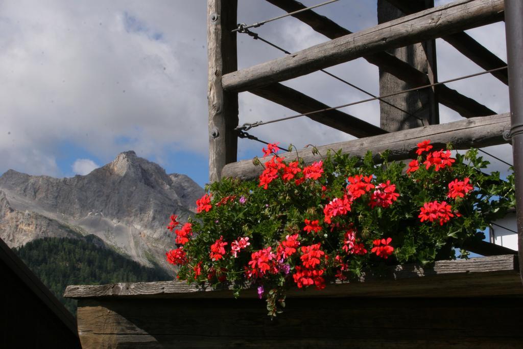 Albergo Diffuso Sauris In Sauris Di Sopra Экстерьер фото